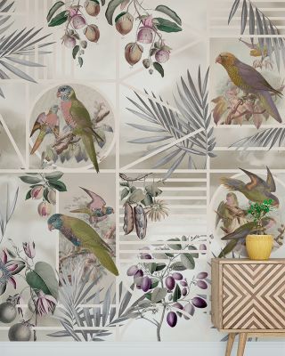 Parrots Study Nature Wallpaper