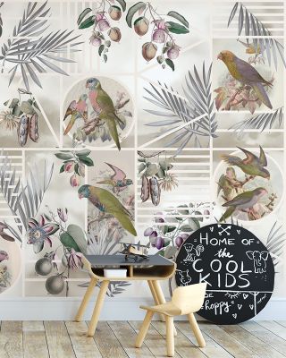 Parrots Study Nature Wallpaper