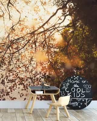 Perfect Day Scenic Wallpaper