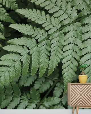 Pointy Ferns Botanical Wallpaper