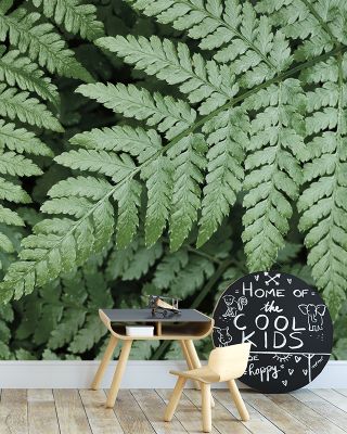 Pointy Ferns Botanical Wallpaper