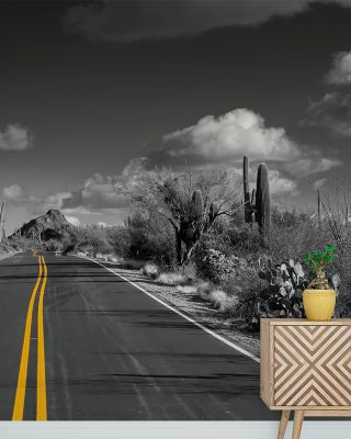 Road Trippin Scenic Wallpaper