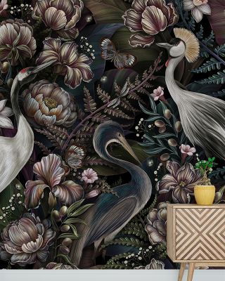 Sensational Birds Nature Wallpaper