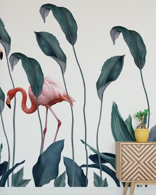 Shy Flamingos Nature Wallpaper