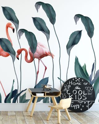 Shy Flamingos Nature Wallpaper