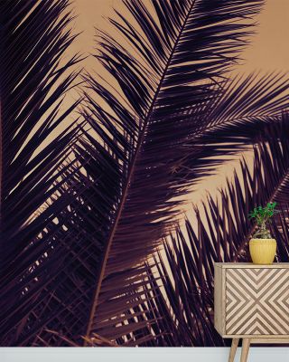 Shy Palm Leaves Botanical Wallpaper
