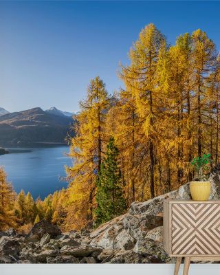 Silsersee Fall Scenic Wallpaper
