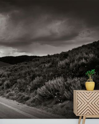 Stanley Basin Road Scenic Wallpaper