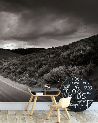 Stanley Basin Road Scenic Wallpaper