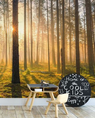 Sunday Morning Wallpaper