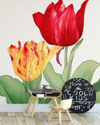 Tanigami Tulips Wallpaper