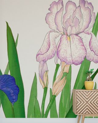 Tanigami Irises Wallpaper