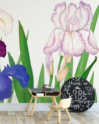 Tanigami Irises Wallpaper