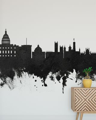 Washington DC Skyline Black & White Wallpaper