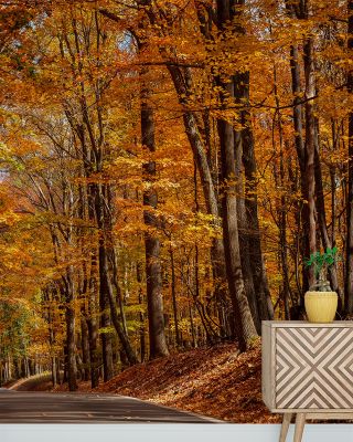West Virginia Roads Wallpaper