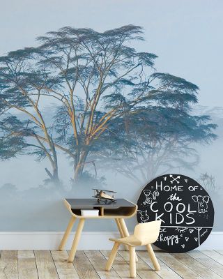 Acacia Pride Wallpaper