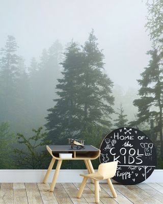 Canadian Fog Wallpaper