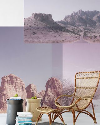 Desert Snaps Wallpaper
