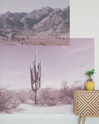 Desert Snaps Wallpaper