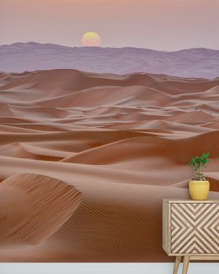 Desert Sunset Wallpaper