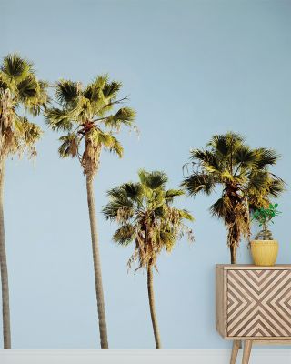 Endless Summer V Wallpaper