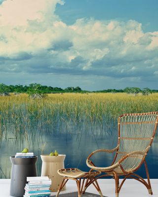 Everglades Mangrove Wallpaper