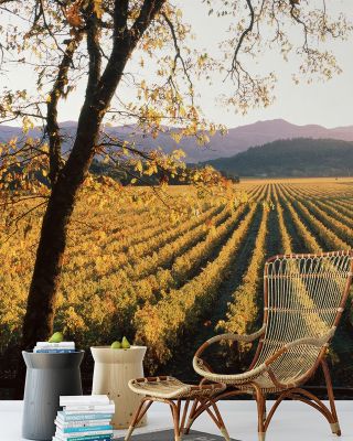 Far Niente Winery Beams Wallpaper