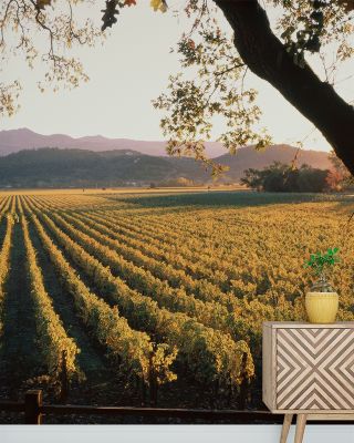 Far Niente Winery Beams Wallpaper