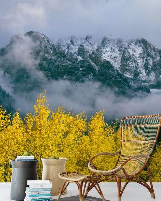 Grand Teton Fall Wallpaper