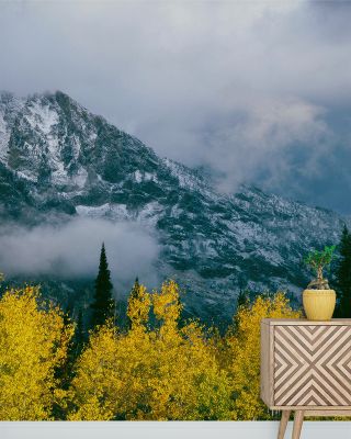 Grand Teton Fall Wallpaper