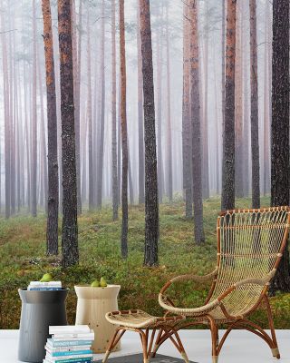 Hide and Seek Forest Wallpaper