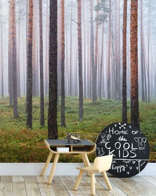 Hide and Seek Forest Wallpaper