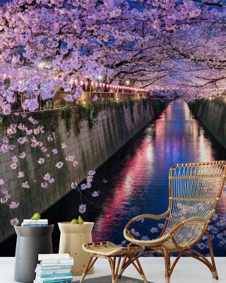 Nakameguro Cherry Blossom Wallpaper