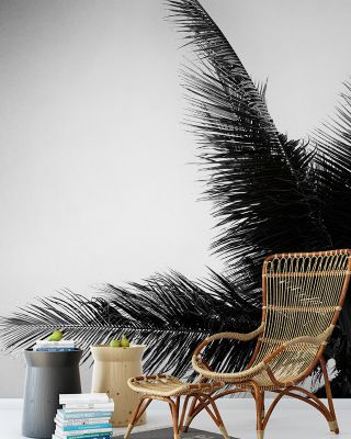 Palm Tree Looking Up IV Wallpaper
