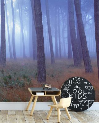 Presidio Forest Wallpaper
