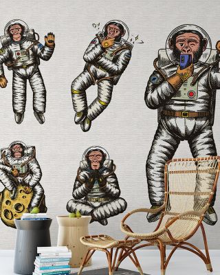 Space Monkey Wallpaper