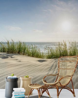 Sunny Day Wallpaper