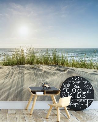 Sunny Day Wallpaper