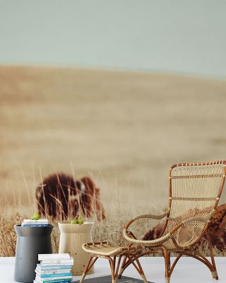 Tall Grass Bison Wallpaper