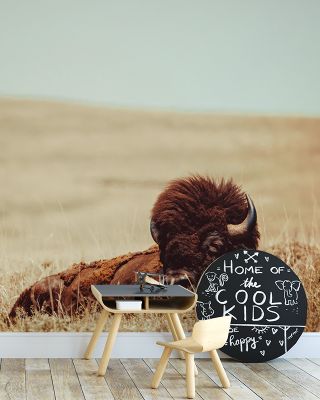 Tall Grass Bison Wallpaper