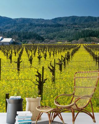 Vineyard Symmetry Wallpaper