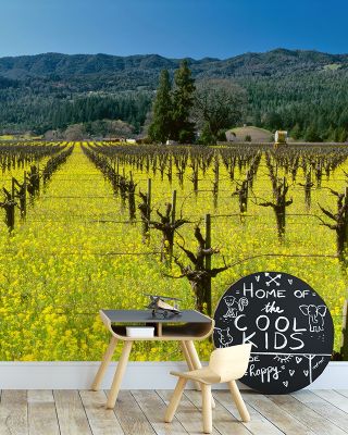 Vineyard Symmetry Wallpaper