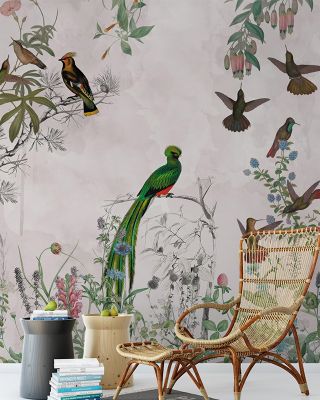 Aves Wallpaper