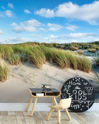 Beach Dunes Wallpaper