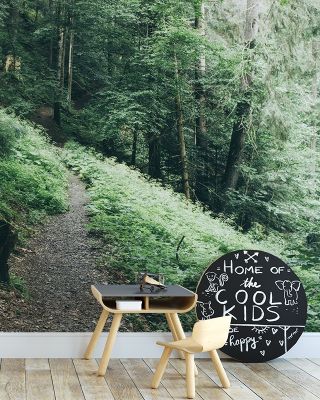Dark Moody Forest Wallpaper