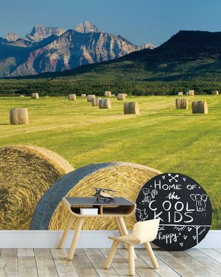 Hay Bales Wallpaper