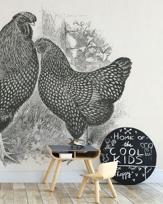 Hen Party Wallpaper