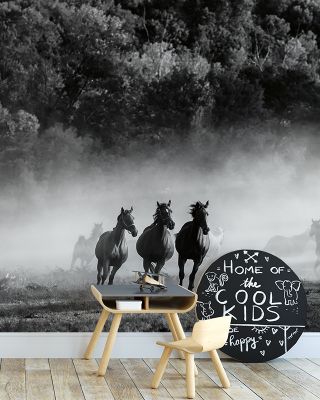 Horse Country Wallpaper