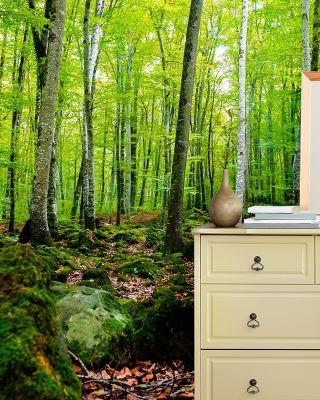 Intense Birch Wood Wallpaper