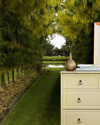 Laburnum Walk Wallpaper